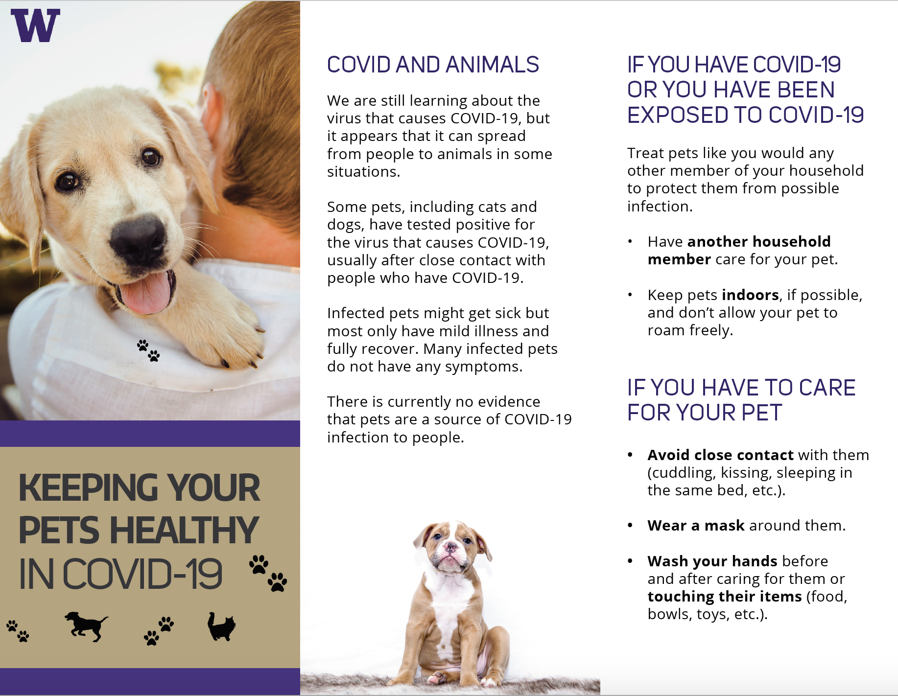 COVID & Pets Trifold Flyer English (Front)