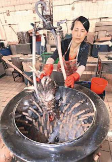 woman at a plucking and cleaning machine
