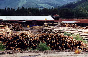 Logging yard