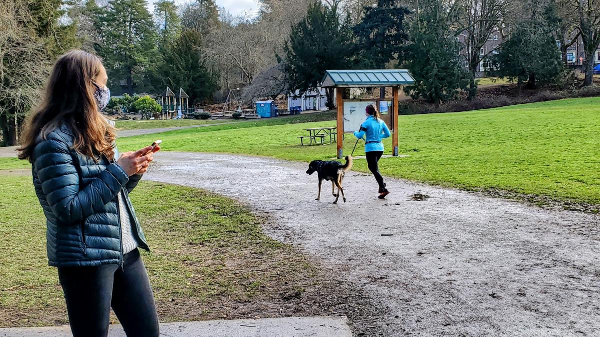 In a park, a woman with a face mask and cell phone watches a person running along a path with a leashed dog.