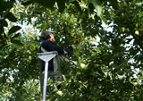 NIOSH awards $1.45 million to UW research center dedicated to farming, fishing and forestry safety and health, future funding still in limbo