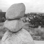 Biennial Report Cover Image