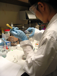 Researcher