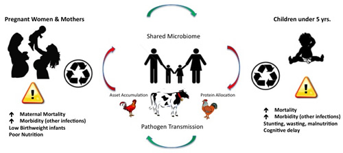 Shared Microbiome Diagram