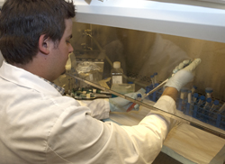 Toxicology student processes lab samples. Photo by Elizabeth Sharpe.