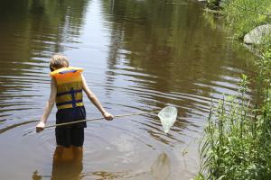 Net Fishing Photo of a young boy fishing with a net in a river