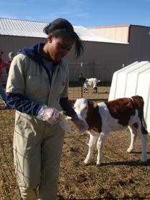 Heather Fowler was selected for the Bullitt Foundation’s Environmental Fellowship Award. Heather Fowler working in the field