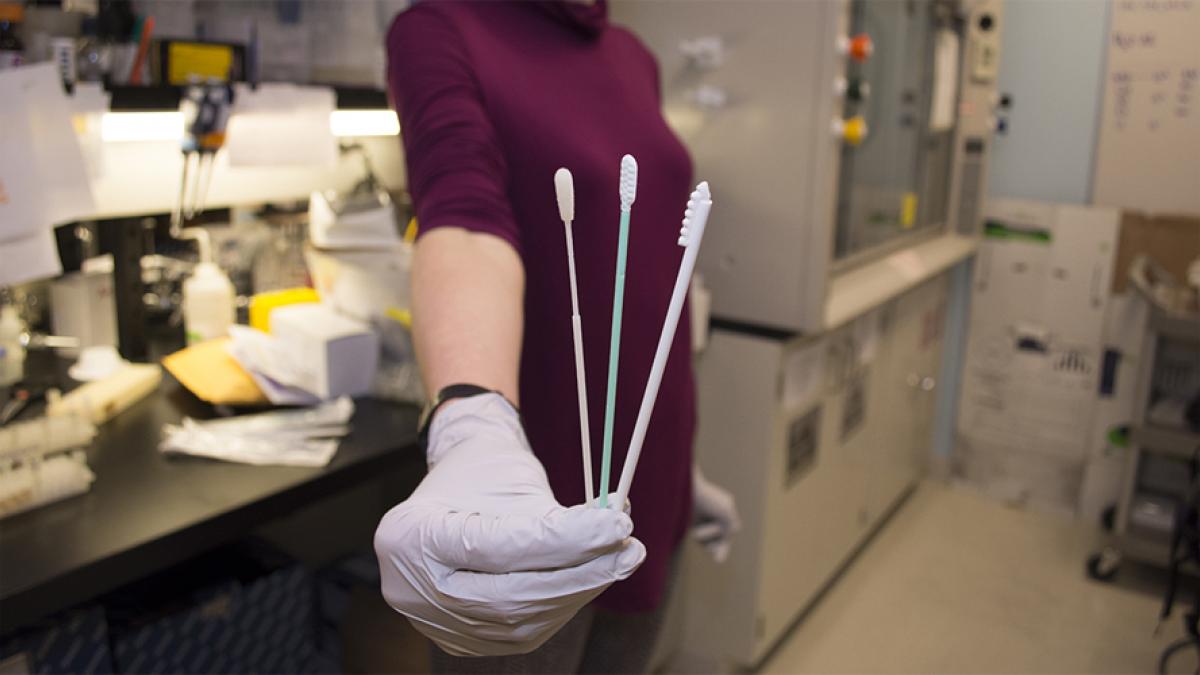 DEOHS Research Scientist Rachel Wood holds cotton swabs undergoing testing in a UW lab