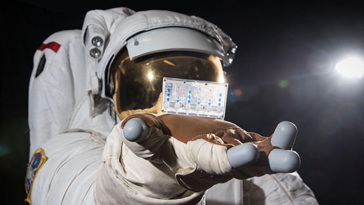An astronaut model holds kidney-on-a-chip, a device created by a UW team with support from the Center for Exposures, Diseases, Genomics and Environment at DEOHS.
