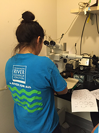 DVYC student at a microscope. Photo courtesy Liz Guzy.
