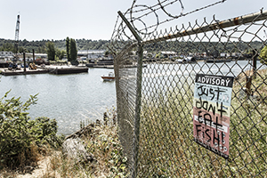Sign along the Duwamish River. Photo courtesy Tom Reese