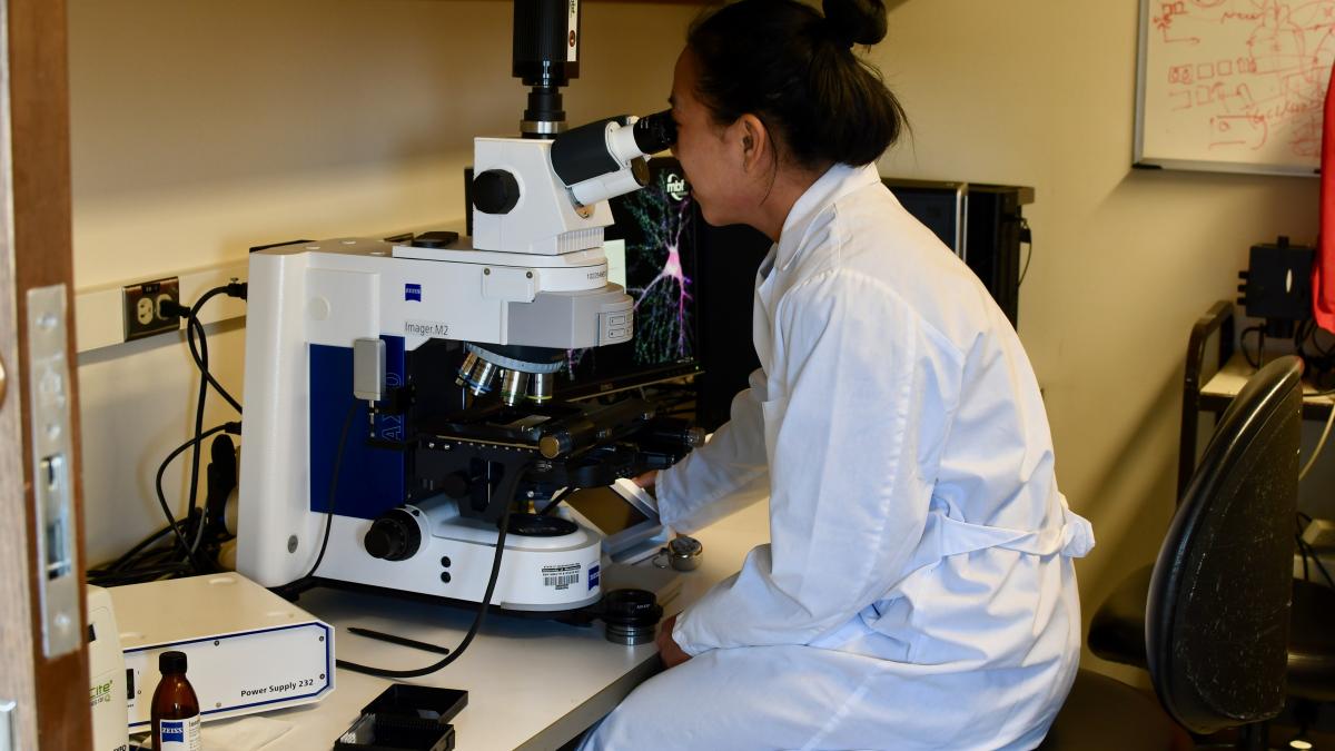 A graduate student in a white lab coat peers into a microscope.