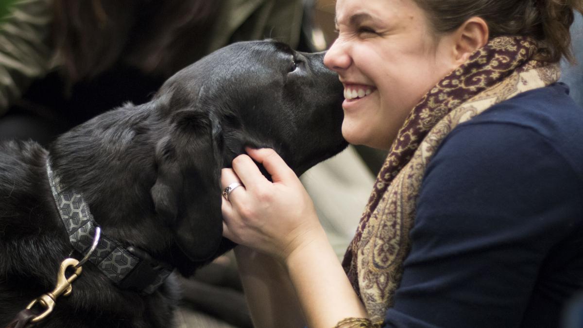 Woman gets face licked by therapy dog