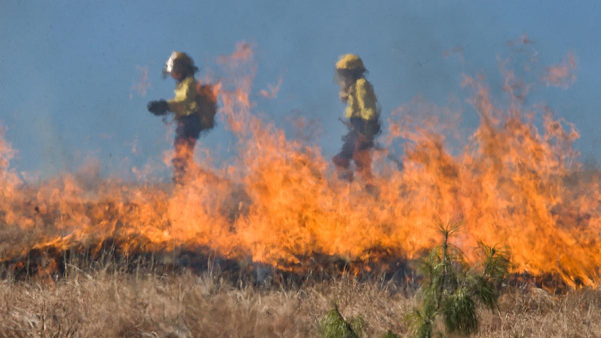 Two firefighters in background with fire in foreground