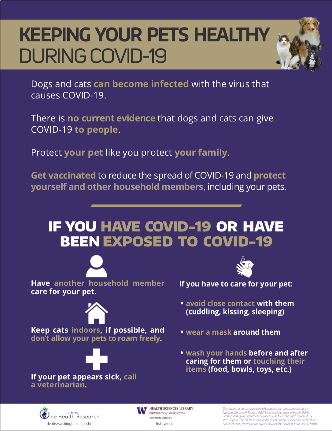 COVID & Pets One-Pager English