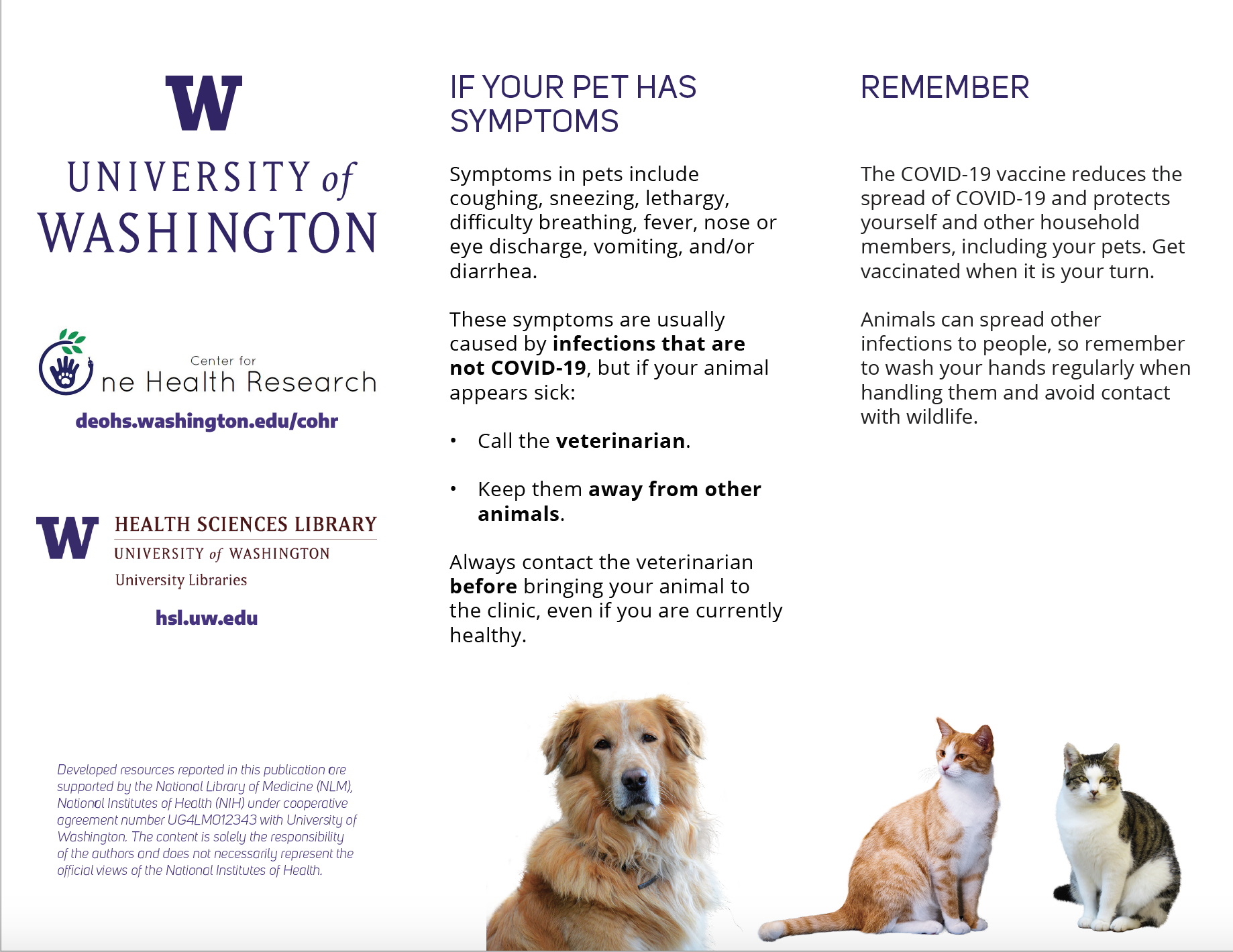 COVID & Pets Trifold Flyer English (Back)