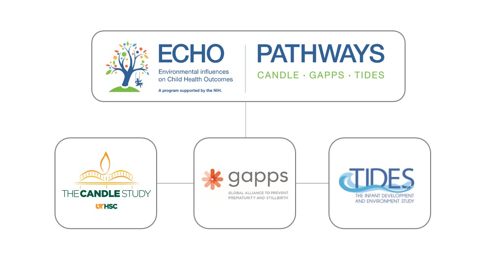This tree graphic shows Candle Gapps and Tides all being apart of echo pathways