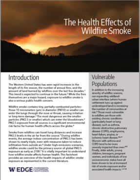 Health Effects of Wildfire Smoke