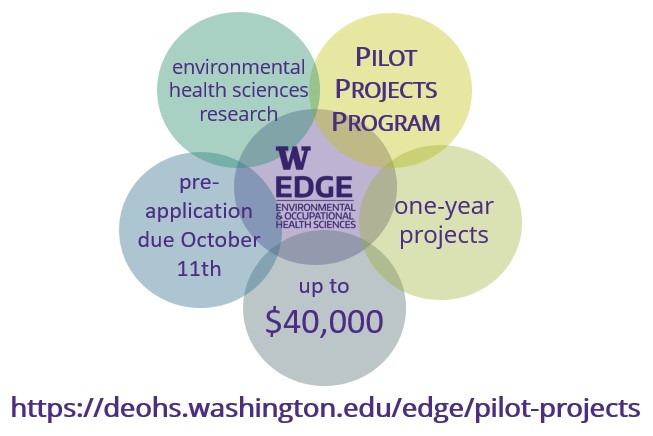 Graphic shows the elements of the pilot project program
