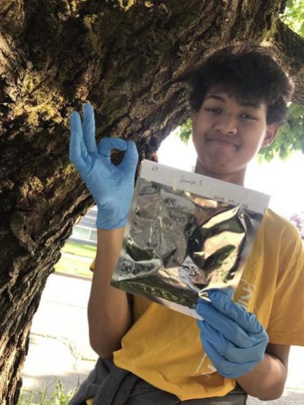 Young person collects moss sample from tree