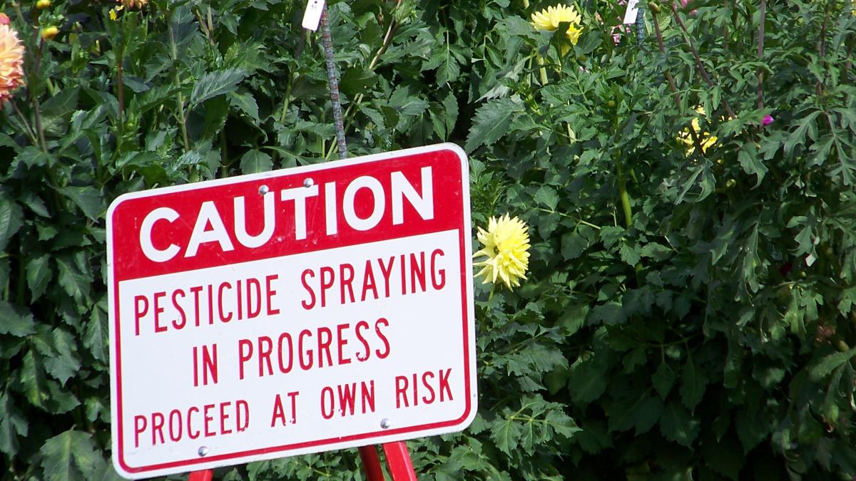 A sign warning that pesticide spraying is in progress in front of a row of flowers