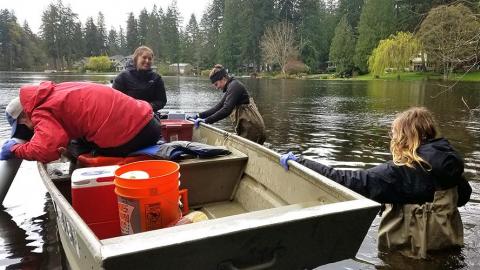 4 students launch a boat to take samples from Lake Killarney.  Two students are in the boat, two students are in the water wearing waders and are pushing the boat out into the lake.