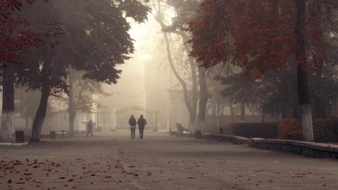 a couple walks between two trees in thick smoke.