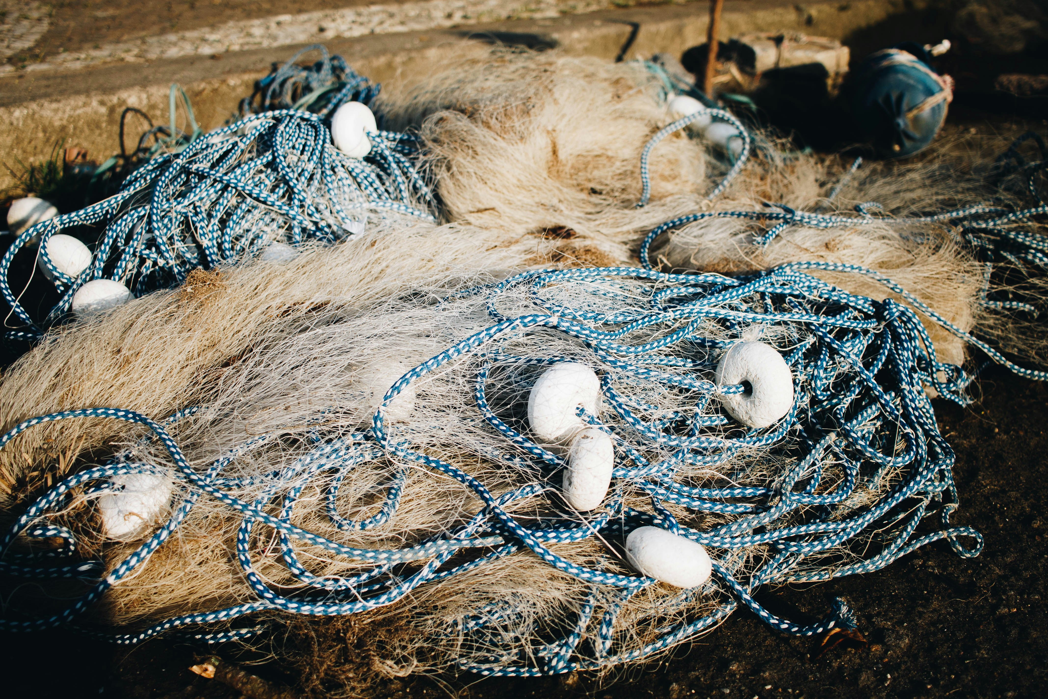 Commercial Fishing Nets