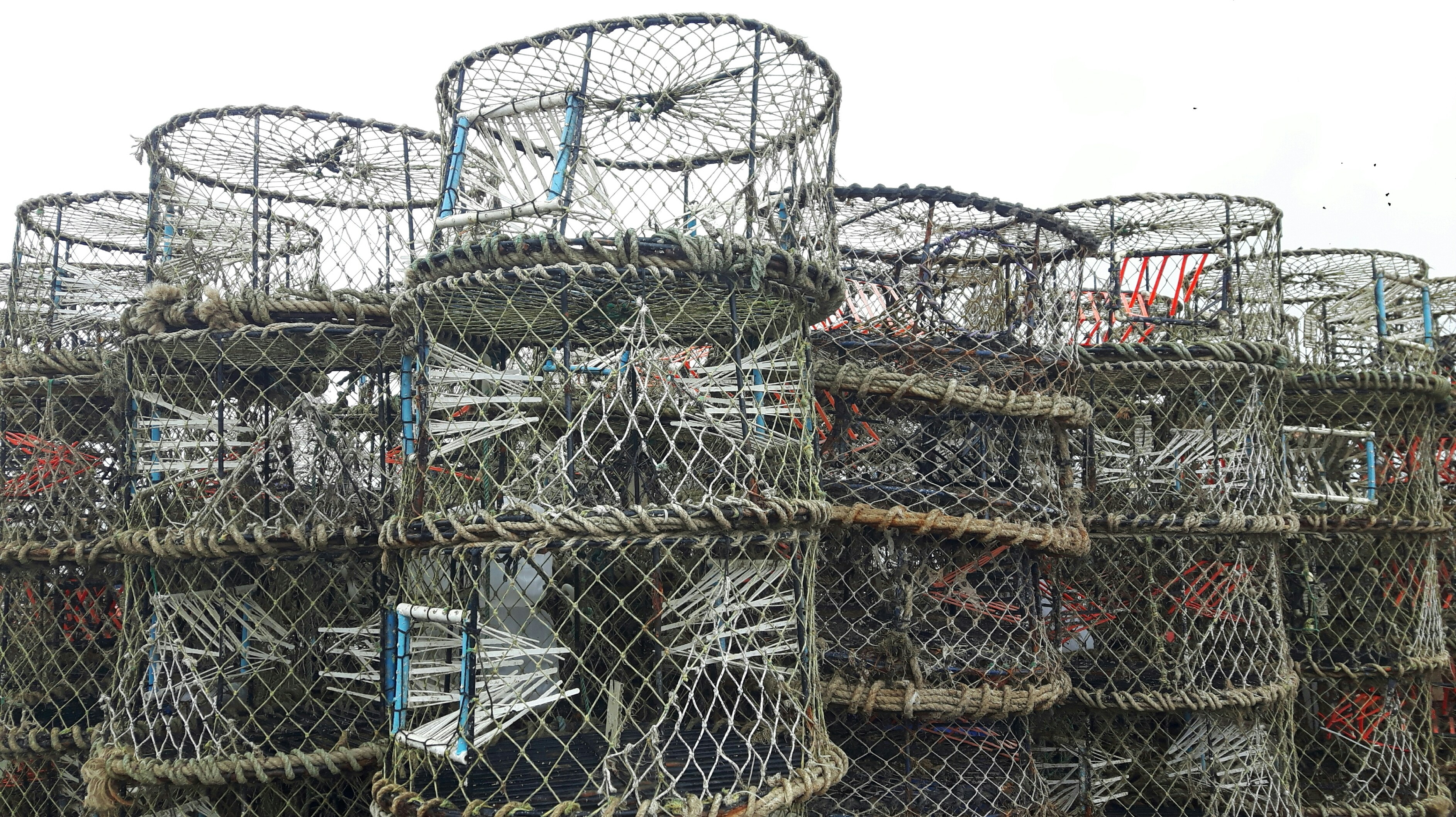 Lobster Cages