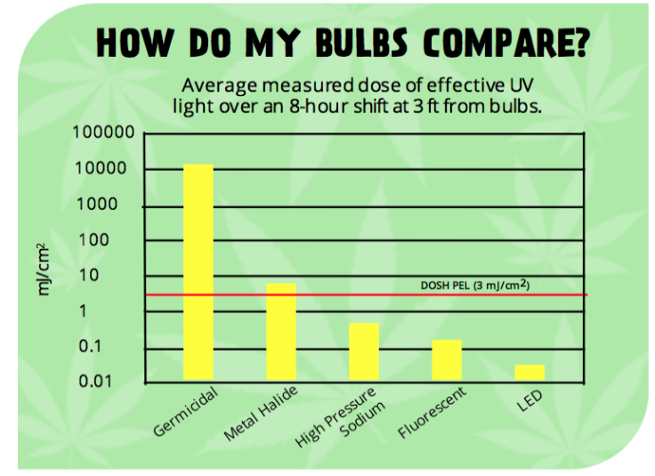 Is Over-Exposure to UV Light a Hazard in Cannabis Growing