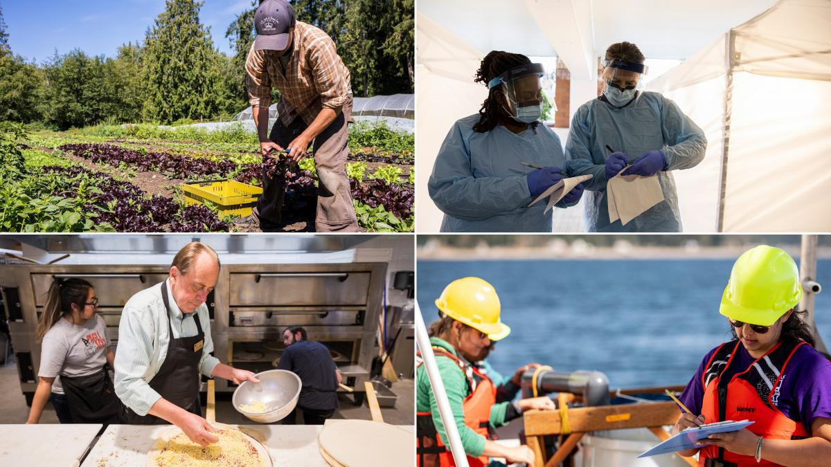 Images of a farmer, two individuals in medical protective equipment, a man making a pizza, and two individuals on a boat
