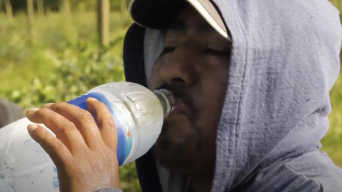 Agriculture worker drinking from a water bottle