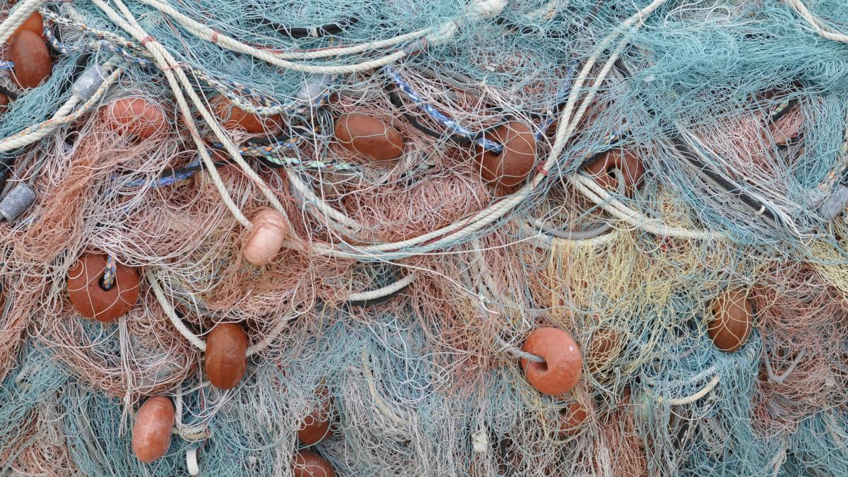 Commercial Fishing Nets