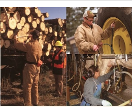 Forestry and farming workers