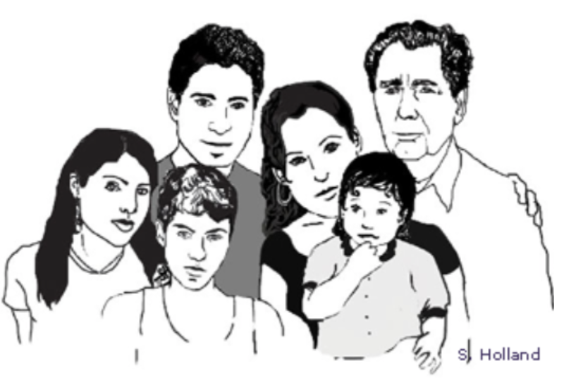 illustration of the family 