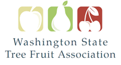 WA State tree fruit logo