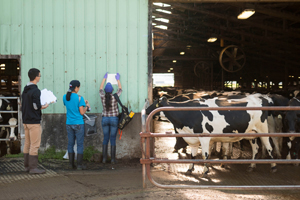 Outside a WA dairy.