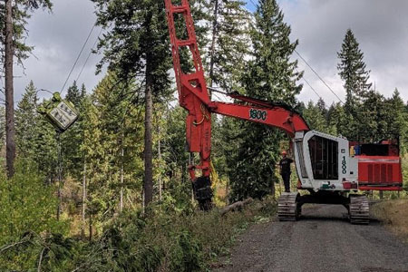 logging excavator in forest