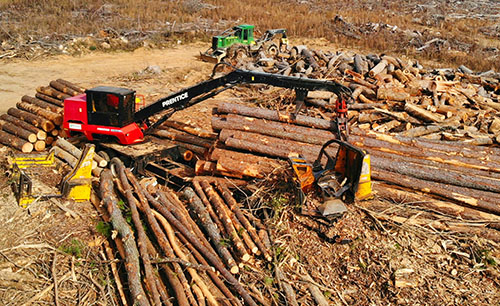 COVID-19 Resources for Forestry  Pacific Northwest Agricultural Safety and Health  Center