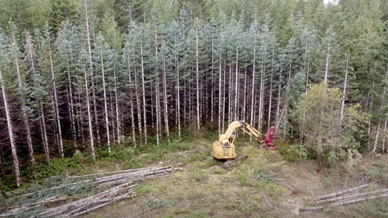 logging trees by tractor