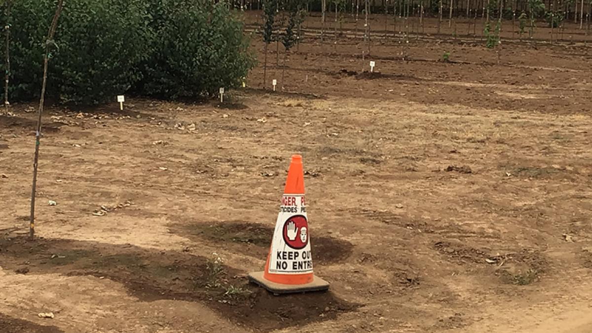 Image of orange cones in field posted to warn against pesticide exposure