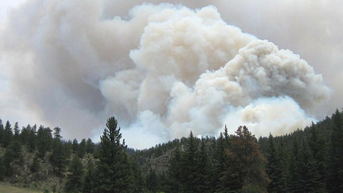 Wildfire smoke in the sky