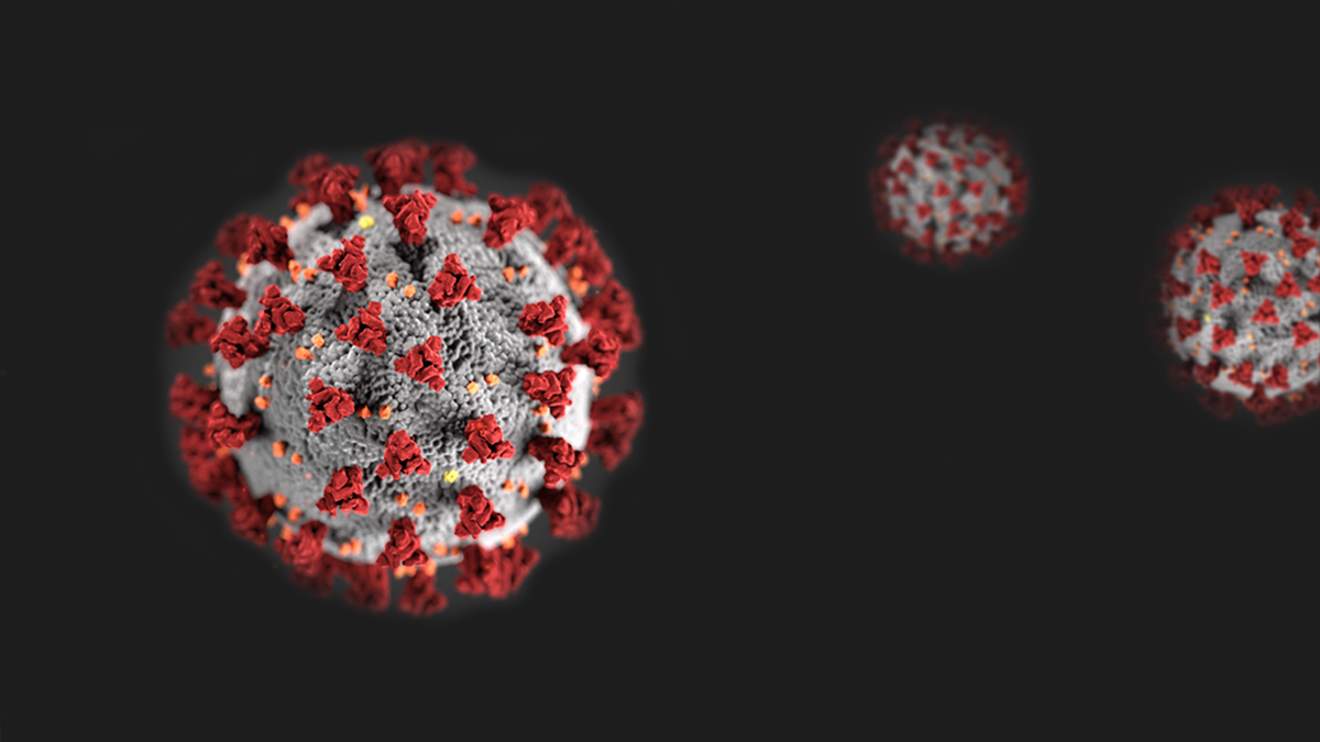 coronavirus image