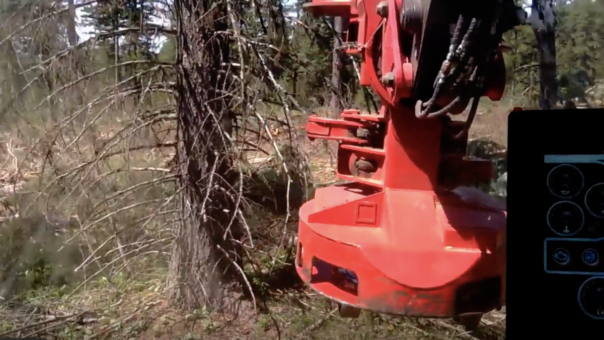 Point-of-view logging.