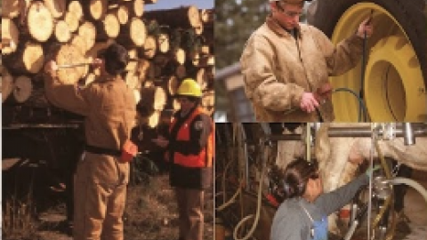 Forestry and farming workers