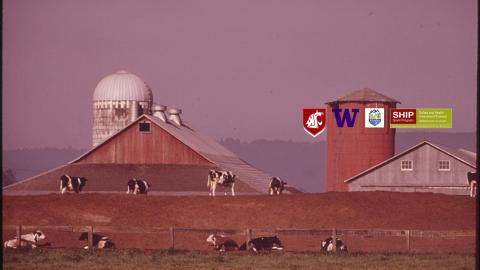 Dairy Safety Toolkit logo and dairy field