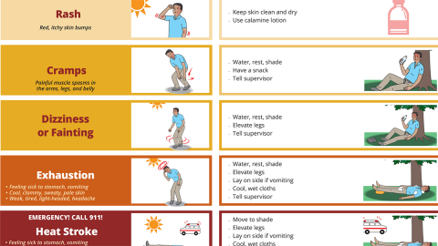  Heat Illnesses