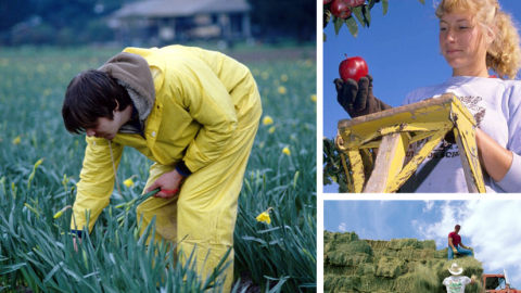 image of kids on the farm