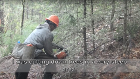 Forestry worker cutting brush