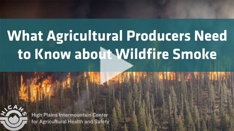 video wildfire smoke